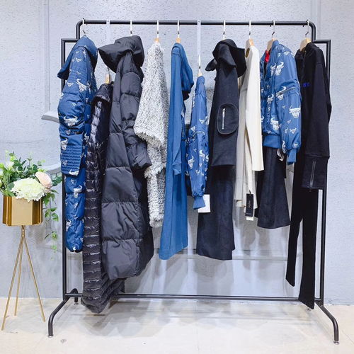 唯愛(ài)秋冬裝 達(dá)衣巖女裝新款羽絨服引領(lǐng)北方服裝市場(chǎng)潮流